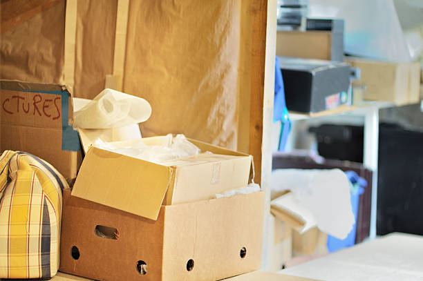 Best Dumpster Rental Services  in Chatfield, MN